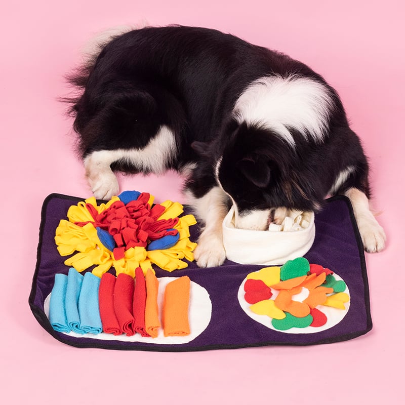 Tuscan Treasure Hunt Snuffle Mat