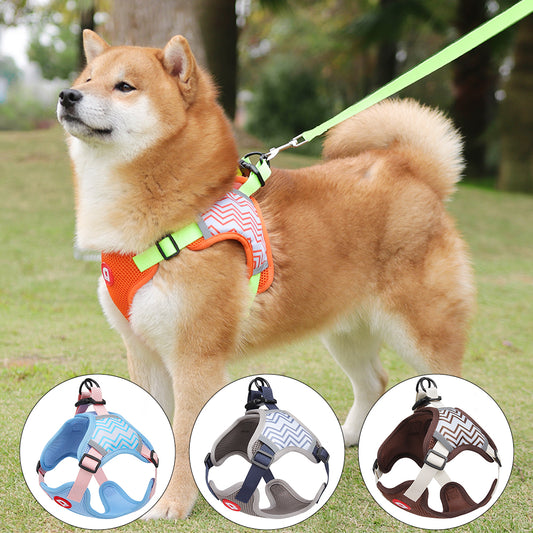 Comfort Walk Dog Harness & Leash Set