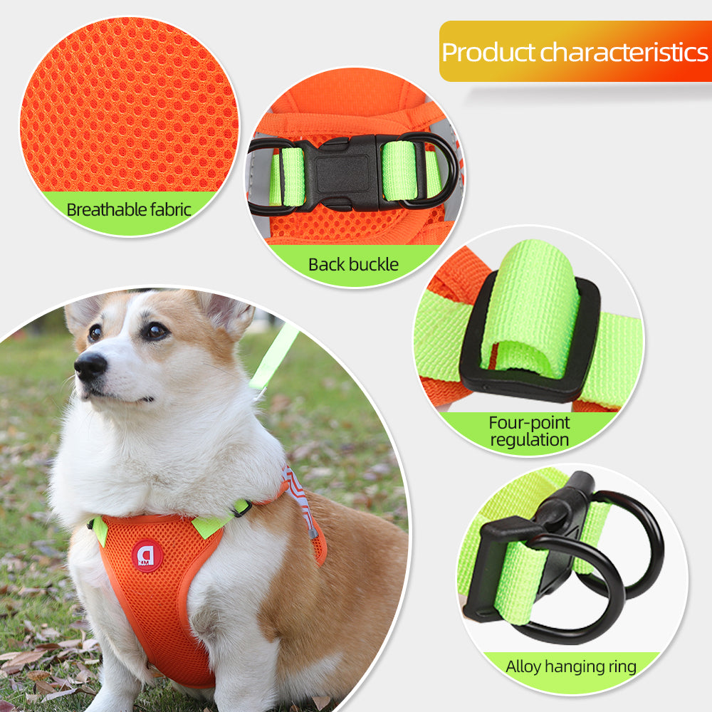 Comfort Walk Dog Harness & Leash Set