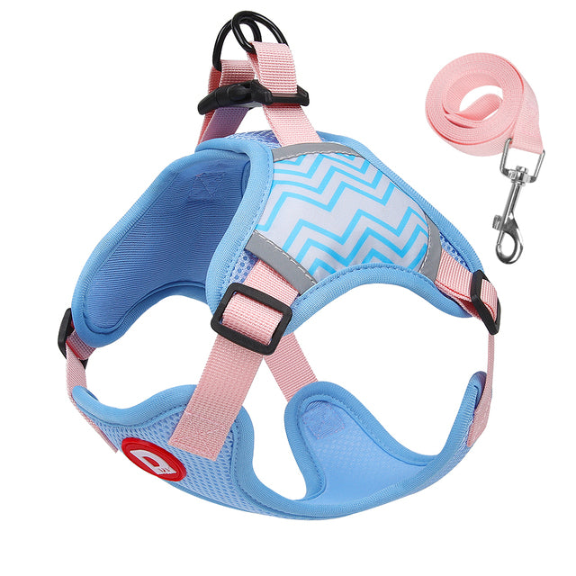 Comfort Walk Dog Harness & Leash Set