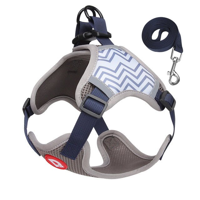 Comfort Walk Dog Harness & Leash Set