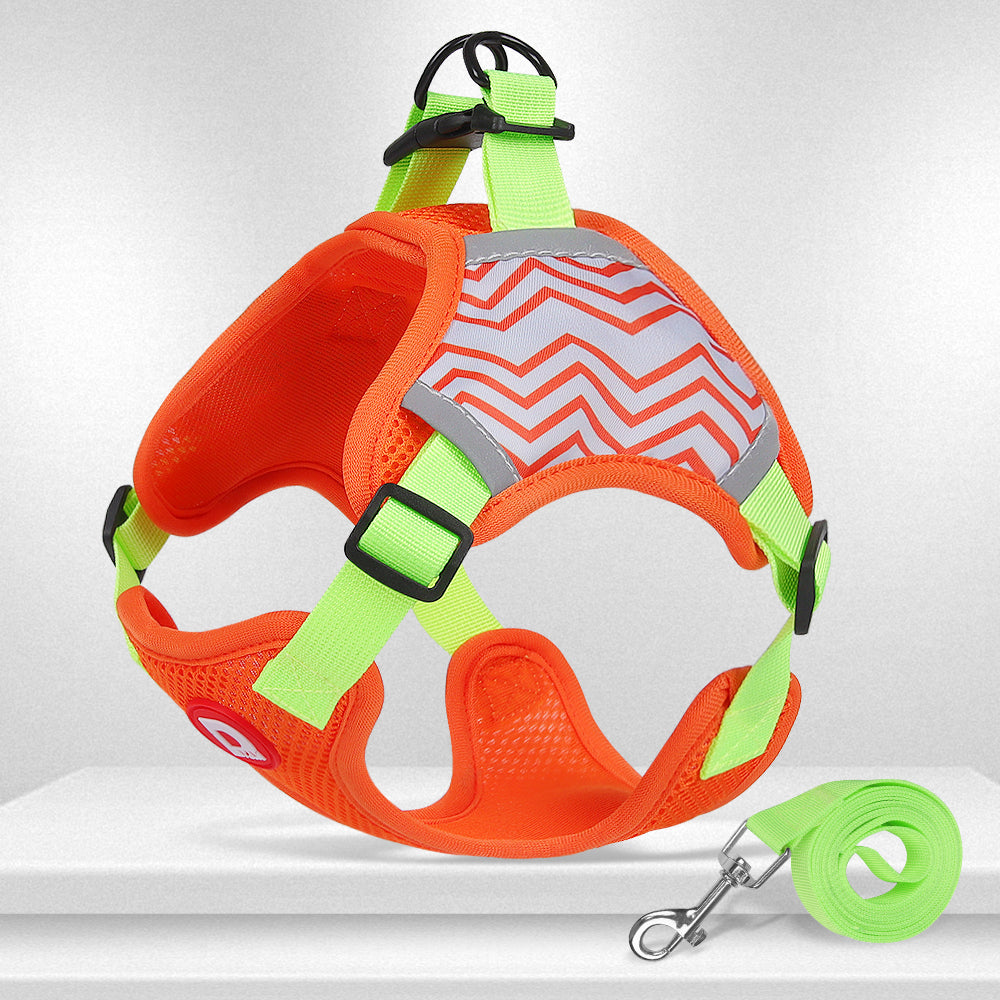 Comfort Walk Dog Harness & Leash Set