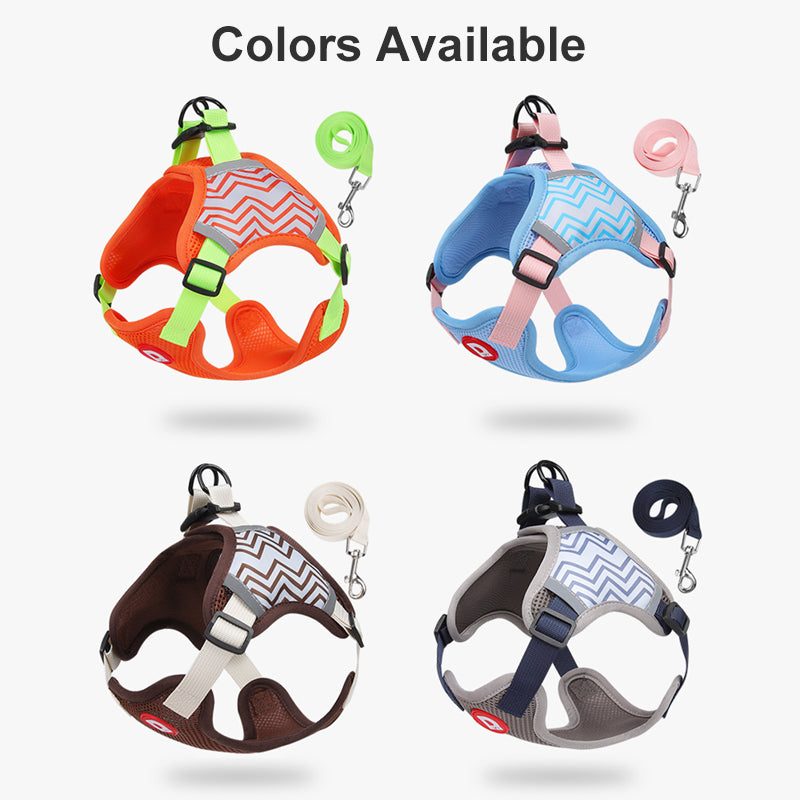 Comfort Walk Dog Harness & Leash Set