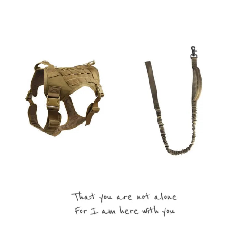 Tactical Dog Harness & Leash Set