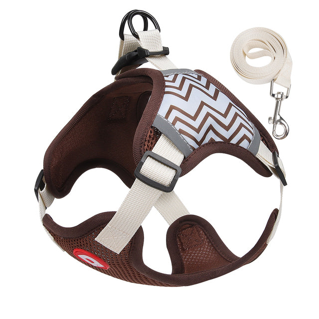 Comfort Walk Dog Harness & Leash Set