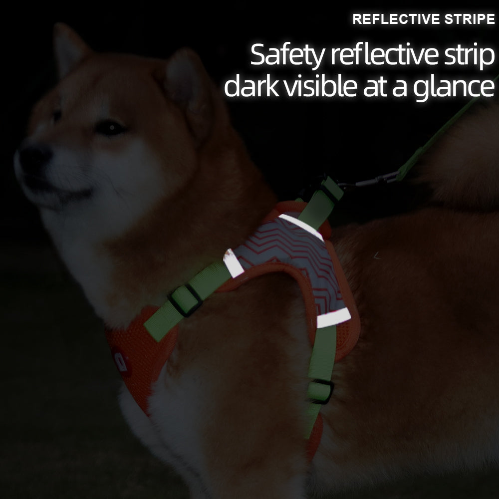 Comfort Walk Dog Harness & Leash Set